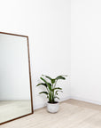 wood framed mirror