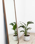 wood framed mirror