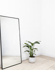 metal framed mirror