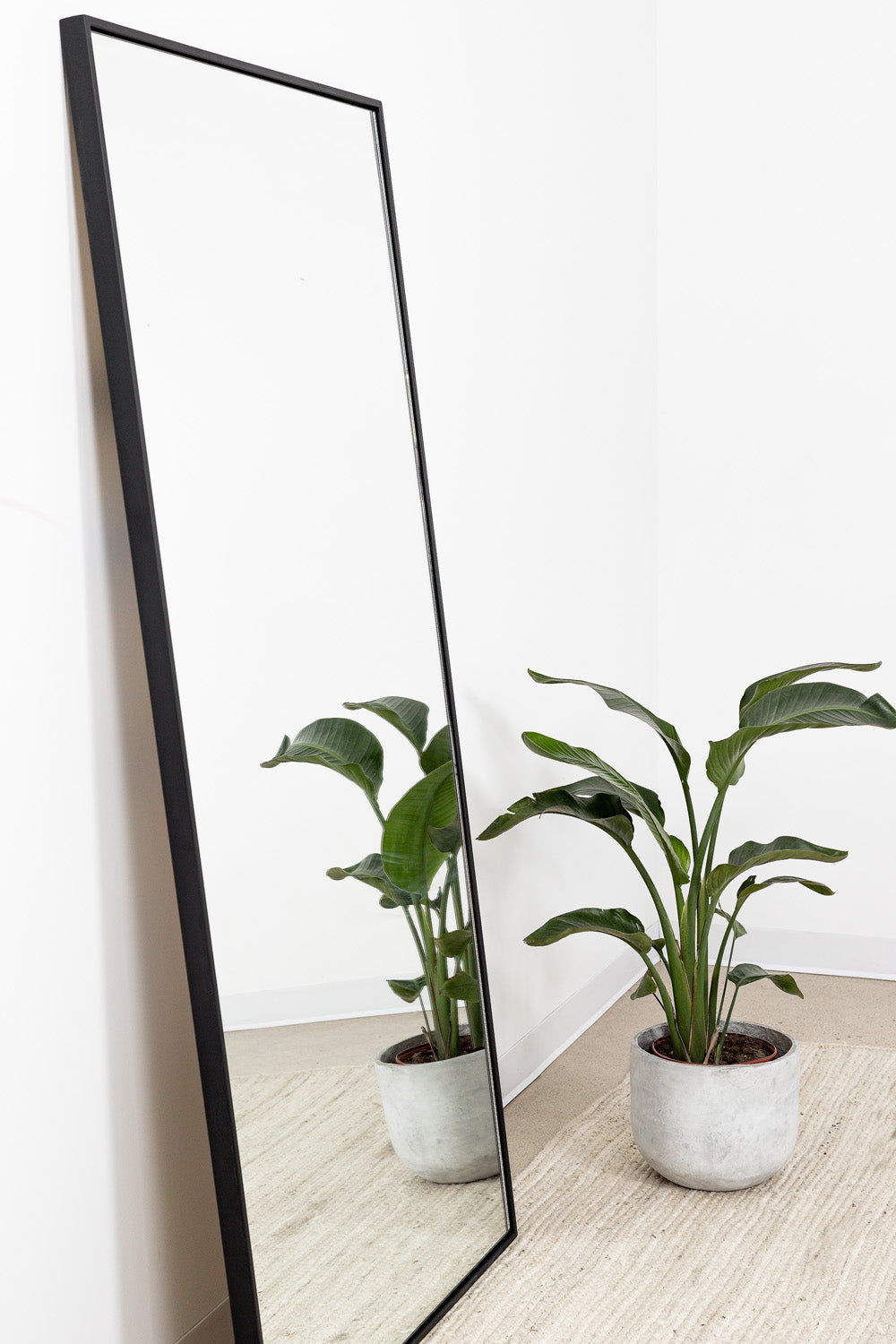 metal framed mirror