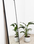 metal framed mirror